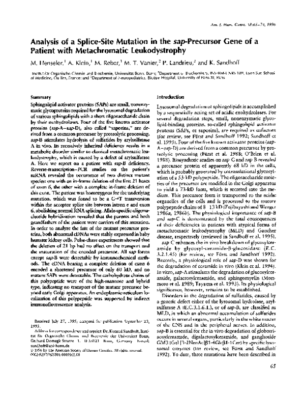 (PDF) Analysis of a splice-site mutation in the SAP-precursor gene of a ...