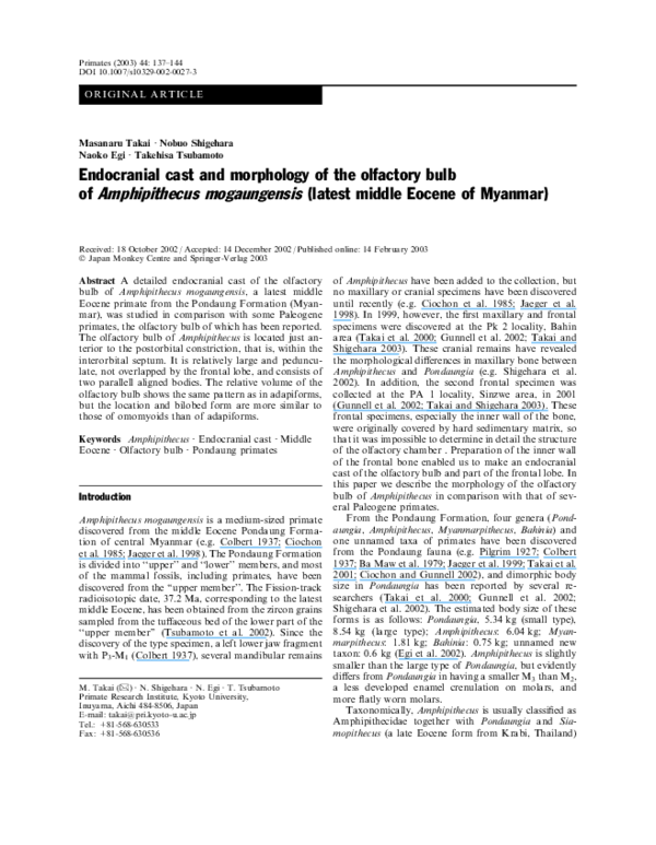 (PDF) Endocranial cast and morphology of the olfactory bulb of ...