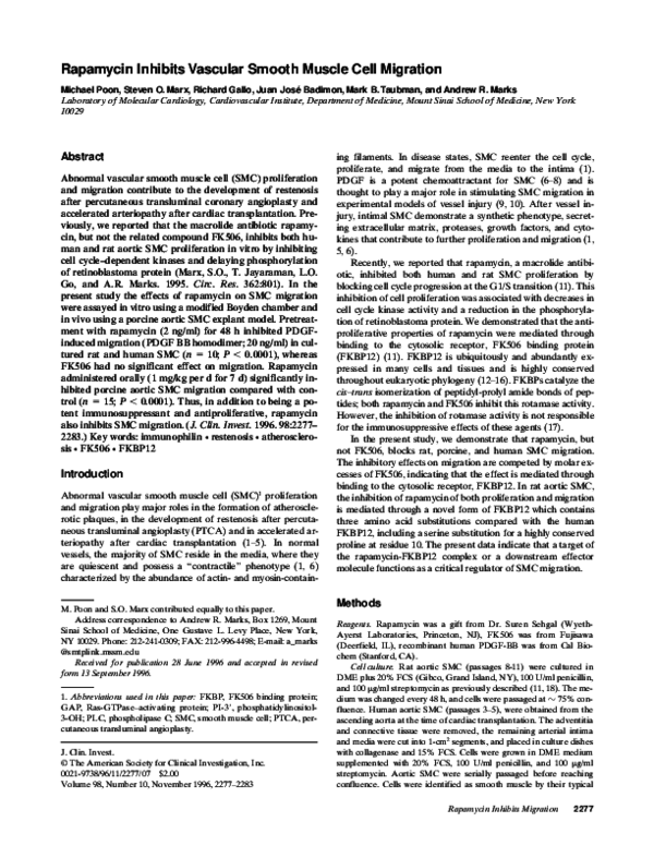 (PDF) Rapamycin inhibits vascular smooth muscle cell migration