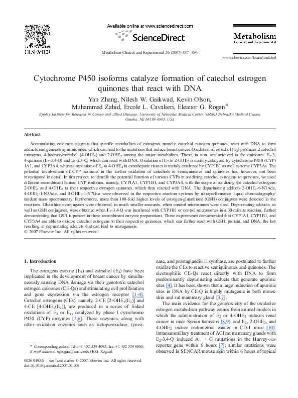 (PDF) Cytochrome P450 isoforms catalyze formation of catechol estrogen ...