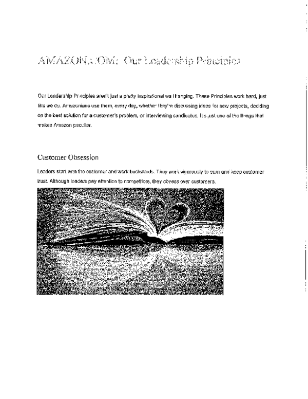 PDF) Amazon Leadership Principles Supplement to Inside Amazon | Boo Forreal  - Academia.edu