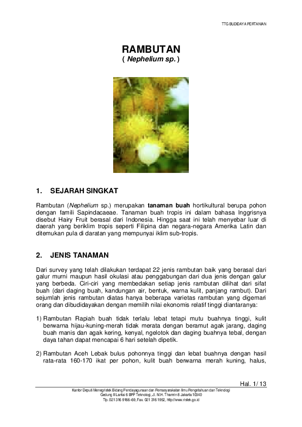 Rambutan