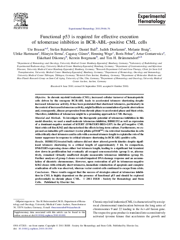 (PDF) Functional p53 is required for effective execution of telomerase ...