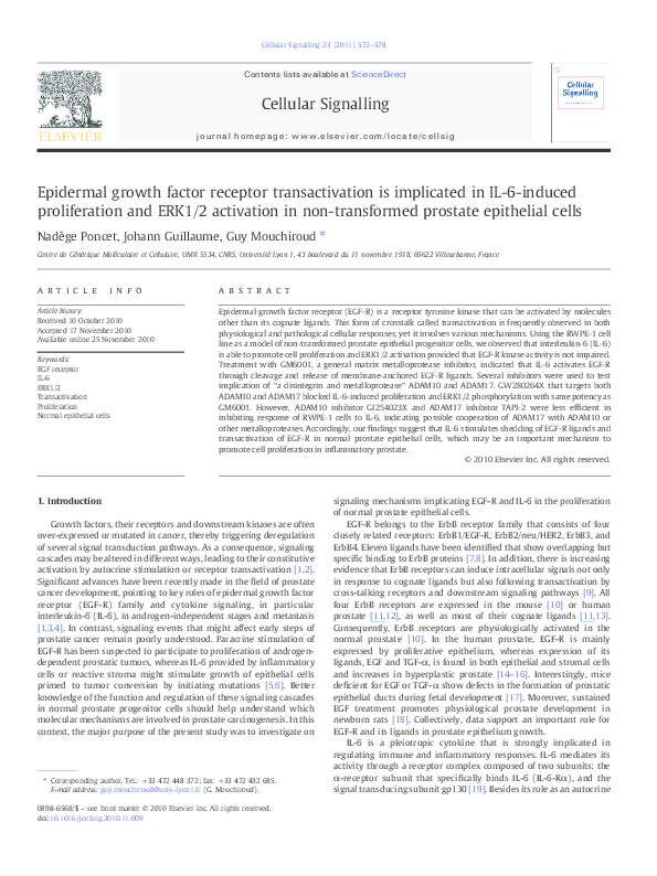 (PDF) Epidermal Growth Factor Receptor Transactivation by Angiotensin ...