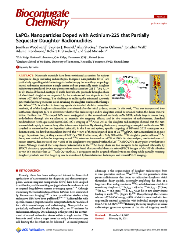 (PDF) LaPO 4 Nanoparticles Doped with Actinium-225 that Partially ...