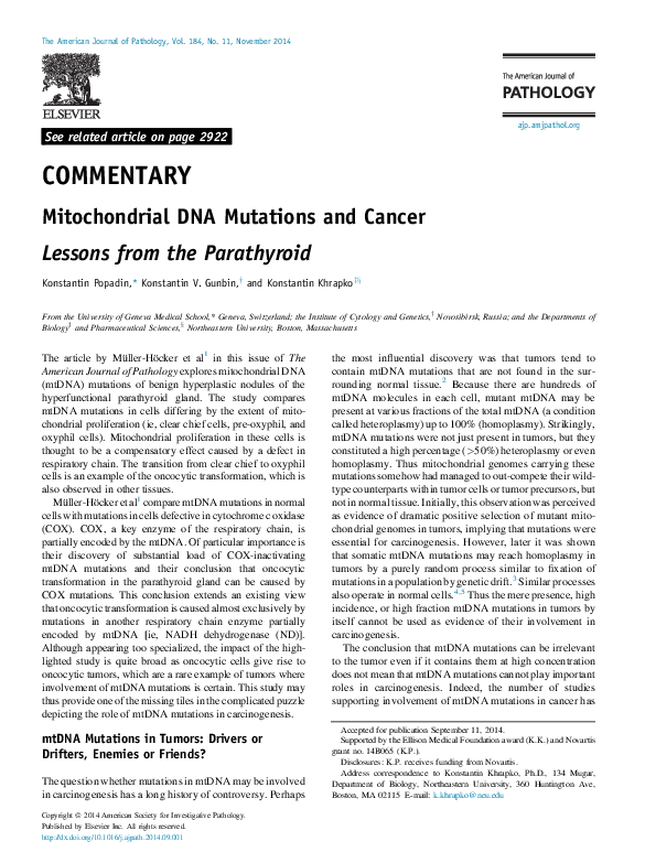 (PDF) Mitochondrial DNA Mutations and Cancer