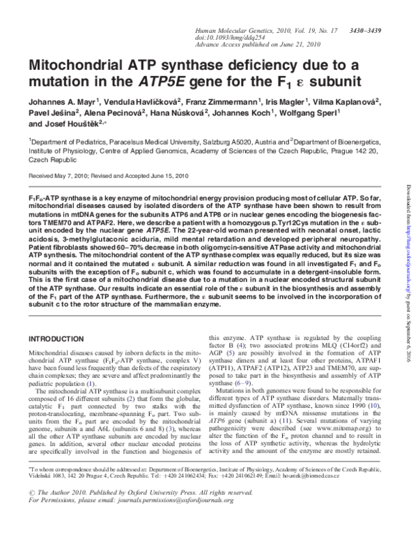 (PDF) Mitochondrial ATP synthase deficiency due to a mutation in the ...