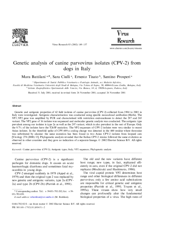Stages of parvo picture