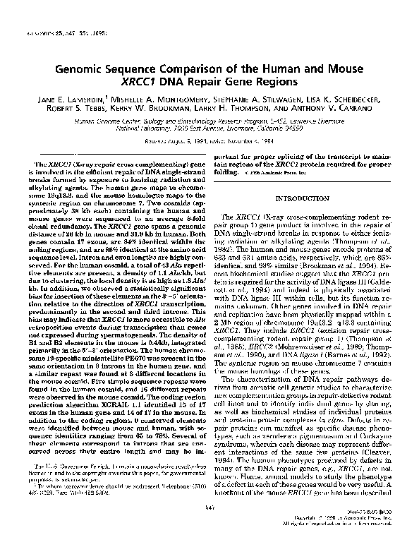 (PDF) Genomic sequence comparison of the human and mouse XRCC1 DNA ...