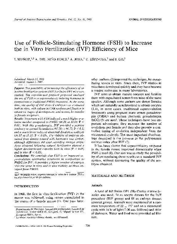 What are the connotations of “city doll”? picture