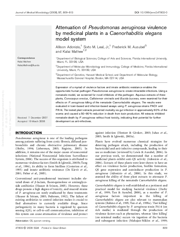 Pseudomonas aeruginosa size picture