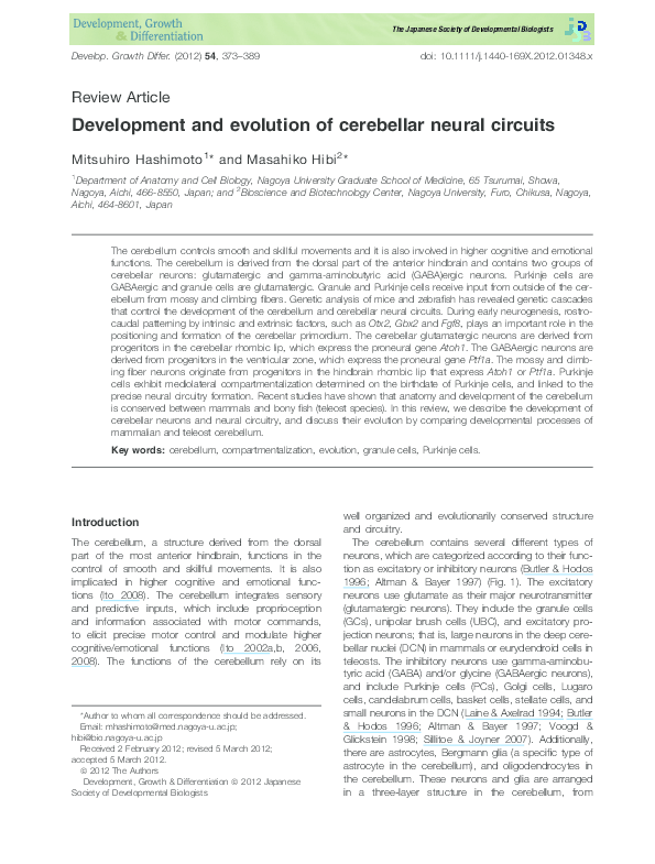 (PDF) Development and evolution of cerebellar neural circuits