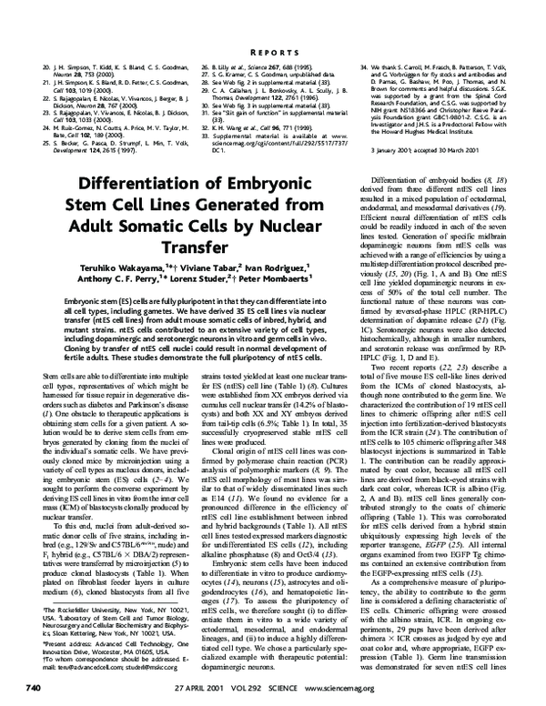 (PDF) Differentiation of Embryonic Stem Cell Lines Generated from Adult ...