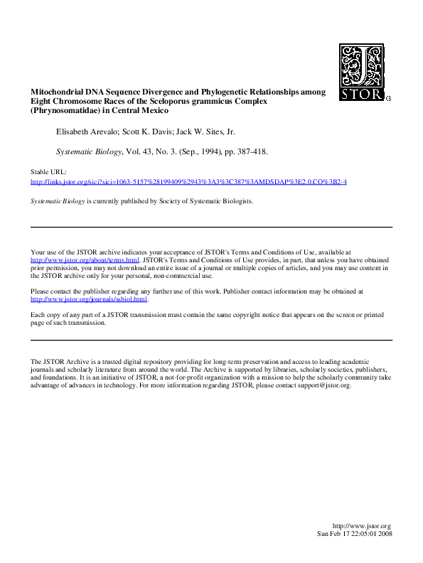 Phrynosomatidae skip essay 03 image