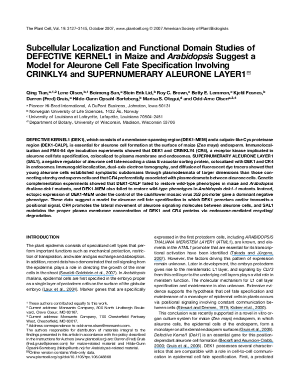 (PDF) Subcellular Localization and Functional Domain Studies of ...