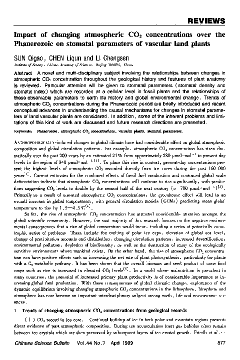 The effect of stomata essay example picture
