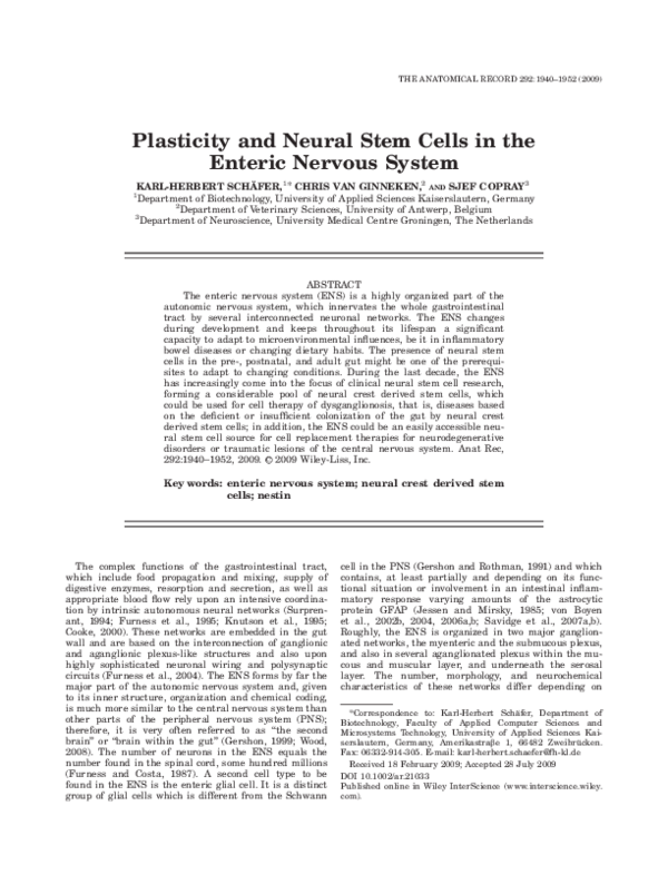 (PDF) Plasticity and Neural Stem Cells in the Enteric Nervous System