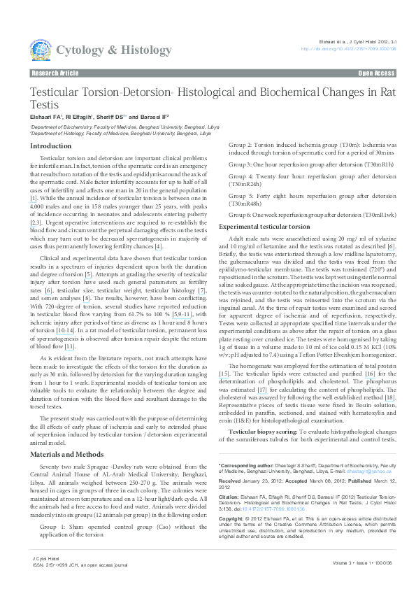 Testicular torsion pain image