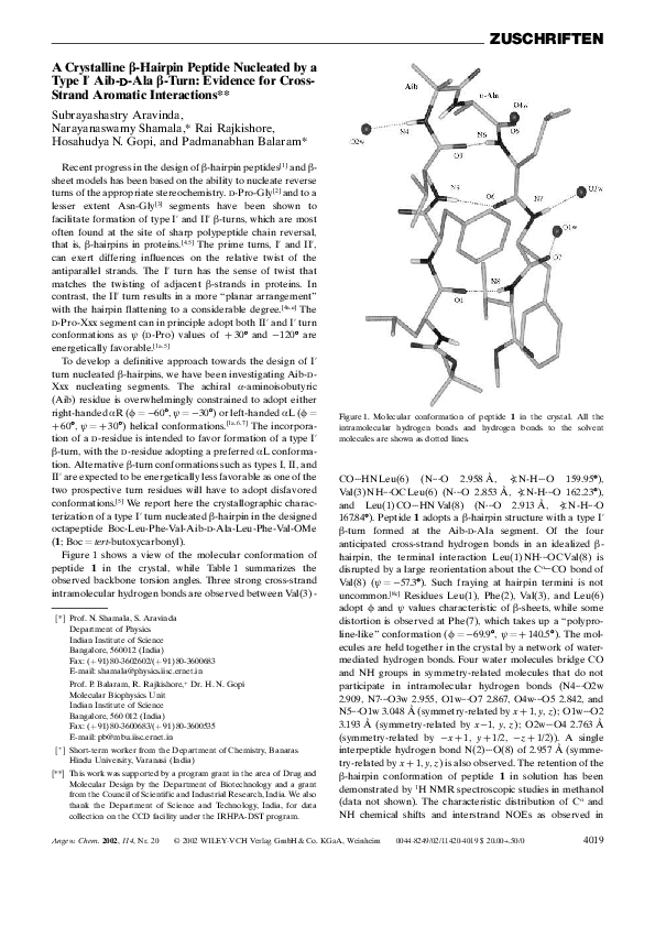 Aib short essays 05 picture