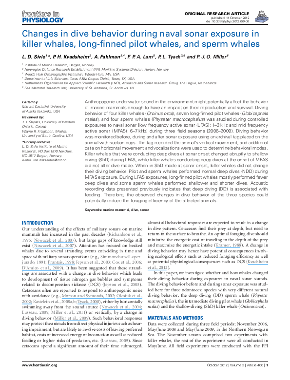 Pilot whales endangered image