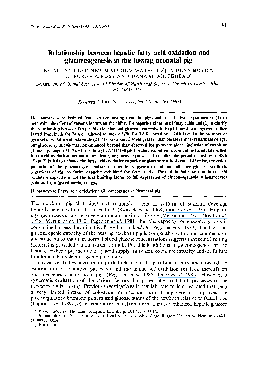  PDF Relationship Between Hepatic Fatty Acid Oxidation And 