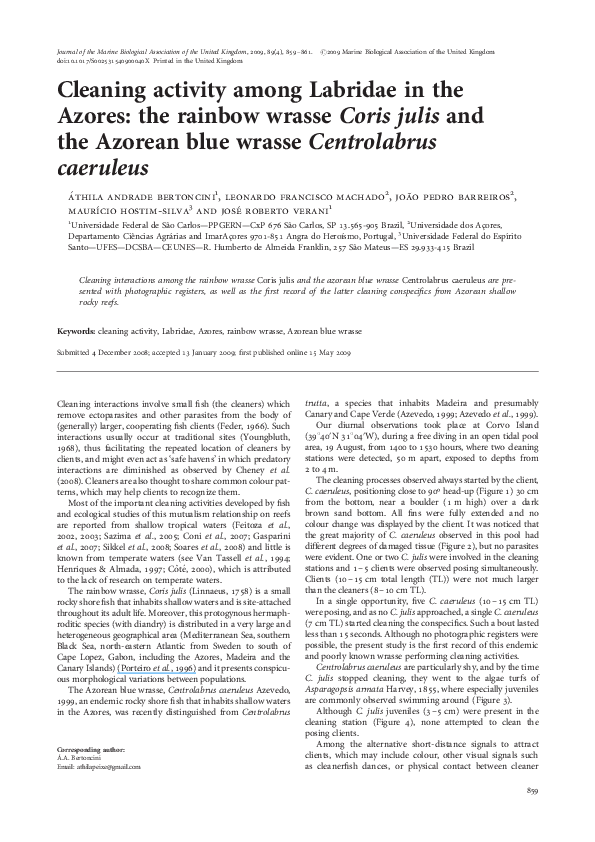 (PDF) Cleaning activity among Labridae in the Azores: the rainbow ...