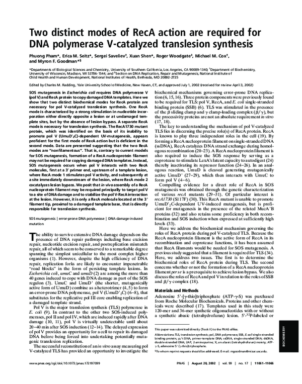 (PDF) Two distinct modes of RecA action are required for DNA polymerase ...