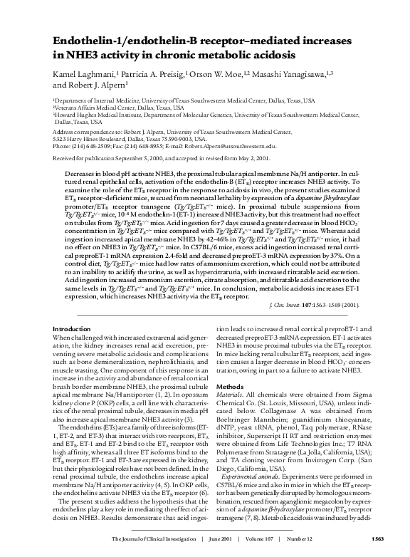 Endothelin essay 04 picture