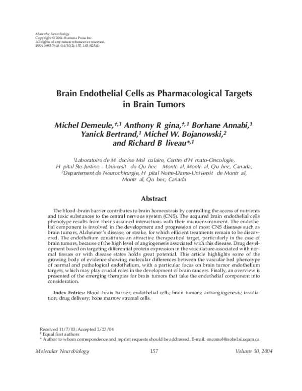 (PDF) Brain Endothelial Cells as Pharmacological Targets in Brain Tumors