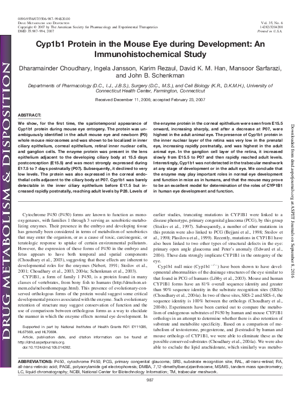 (PDF) Cyp1b1 Protein in the Mouse Eye during Development: An ...