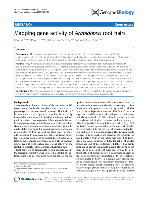(PDF) Mapping gene activity of Arabidopsis root hairs