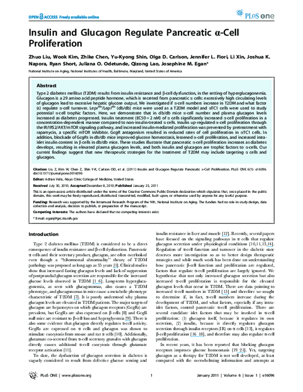 (PDF) Insulin and Glucagon Regulate Pancreatic alpha-Cell Proliferation