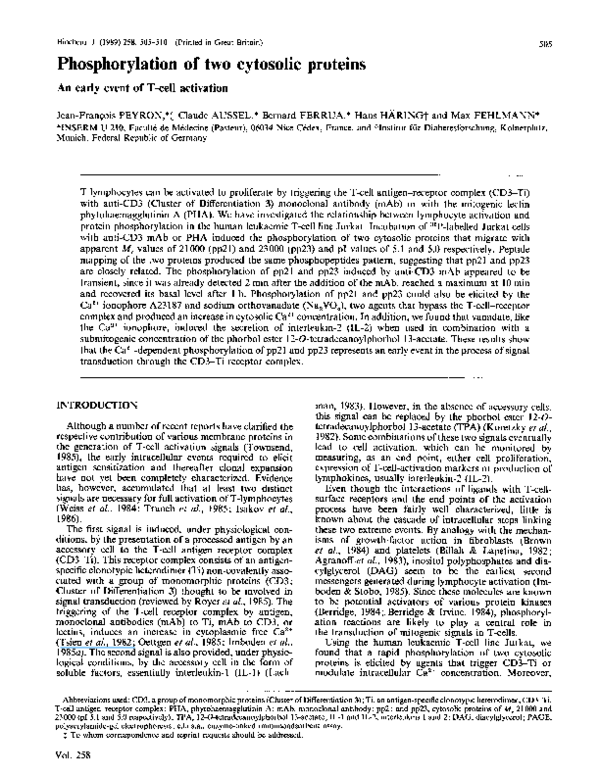 (PDF) Phosphorylation of two cytosolic proteins. An early event of T ...