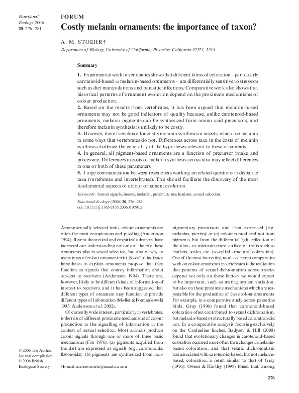 Melanin essays 05 picture