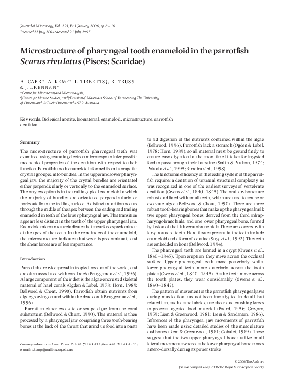 (PDF) Microstructure of pharyngeal tooth enameloid in the parrotfish ...