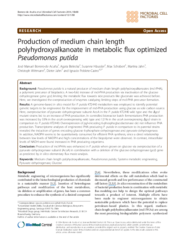 (PDF) Production of medium-chain-length polyhydroxyalkanoates by high ...