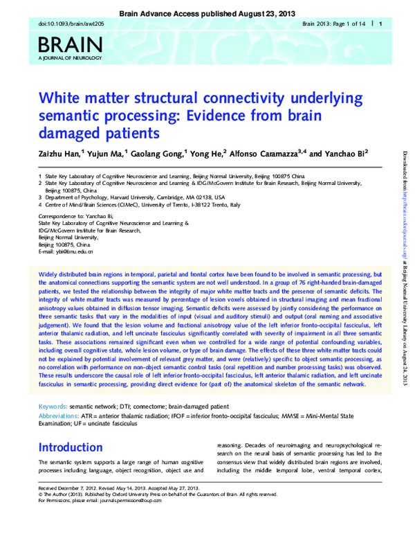(PDF) White matter structural connectivity underlying semantic ...