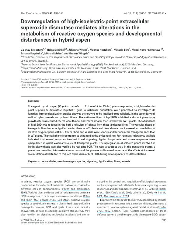 Why did the hippie movement start picture