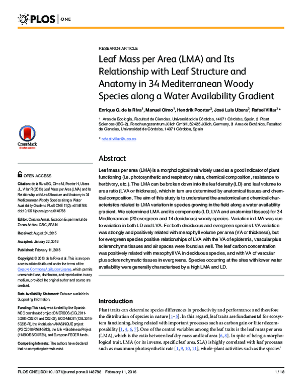 (PDF) Leaf Mass per Area (LMA) and Its Relationship with Leaf Structure ...