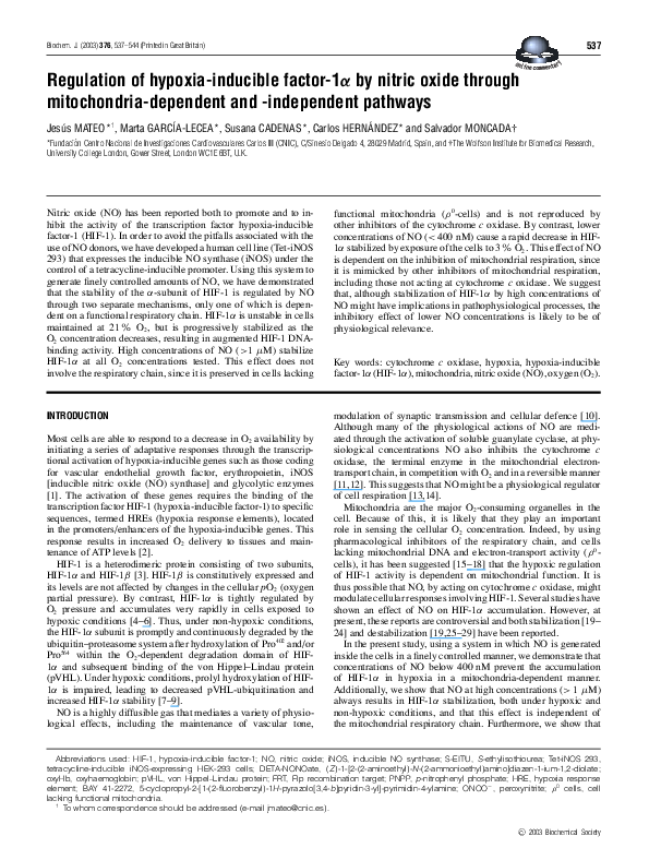 (PDF) Regulation of hypoxia-inducible factor-1α by nitric oxide through ...