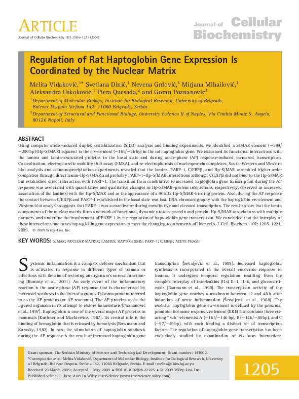 Nuclear regulation essay image