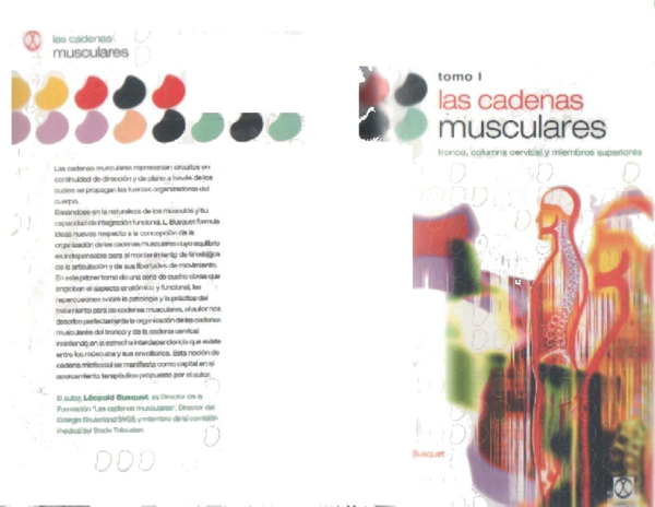 Cadenas Musculares Busquet Tomo 1 Pdf