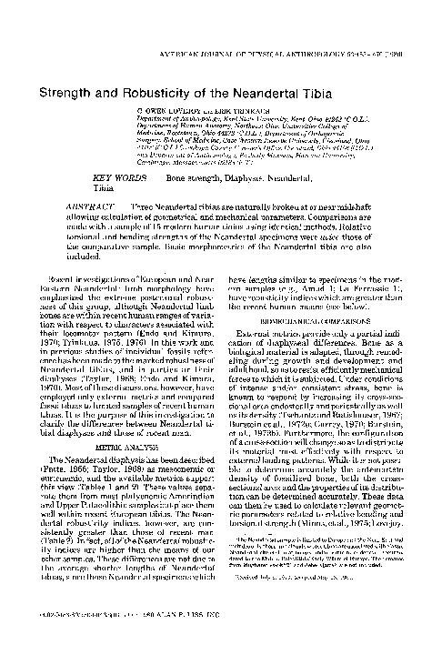 (PDF) Strength and robusticity of the Neandertal tibia
