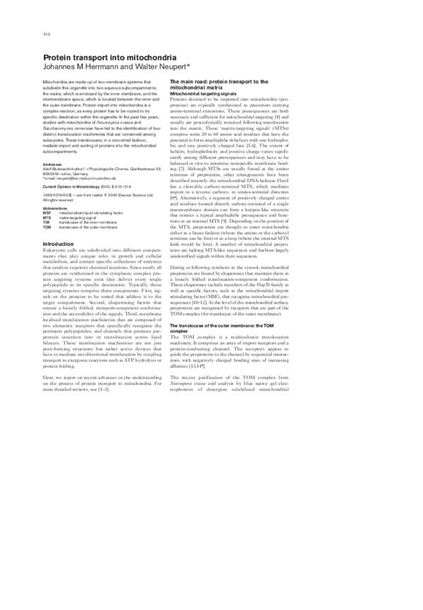 (PDF) Protein transport into mitochondria