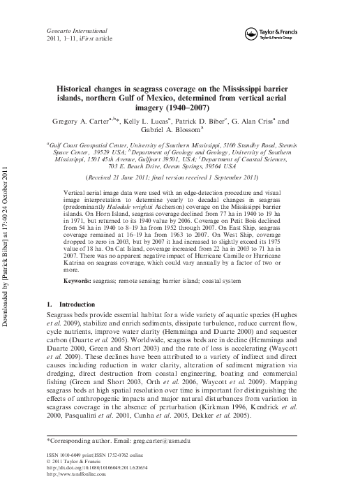 Barrier islands essay picture