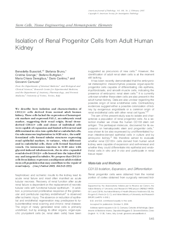 (PDF) Isolation of Renal Progenitor Cells from Adult Human Kidney