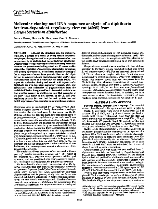 (PDF) Molecular Cloning and DNA Sequence Analysis of Escherichia coli ...