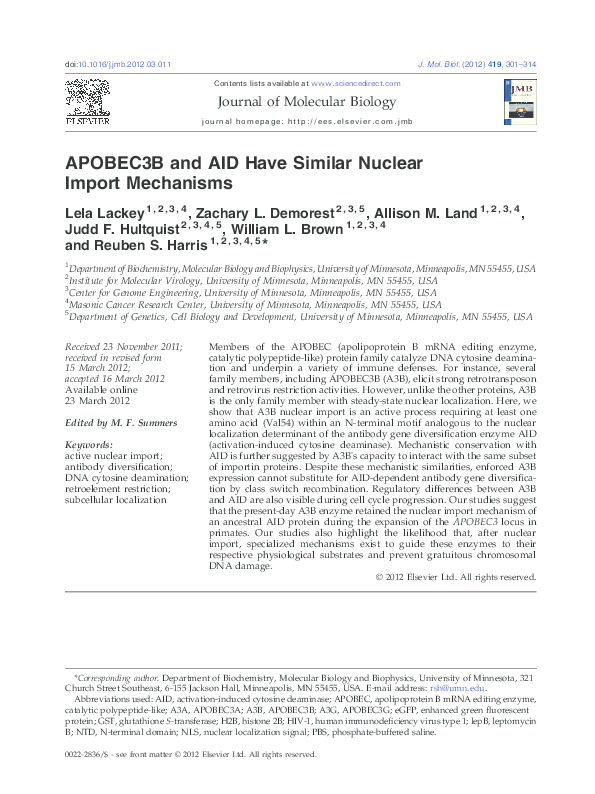 (PDF) APOBEC3B and AID Have Similar Nuclear Import Mechanisms