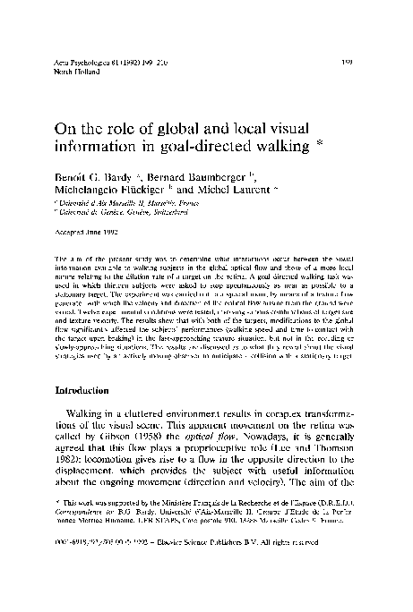 (PDF) On the role of global and local visual information in goal ...