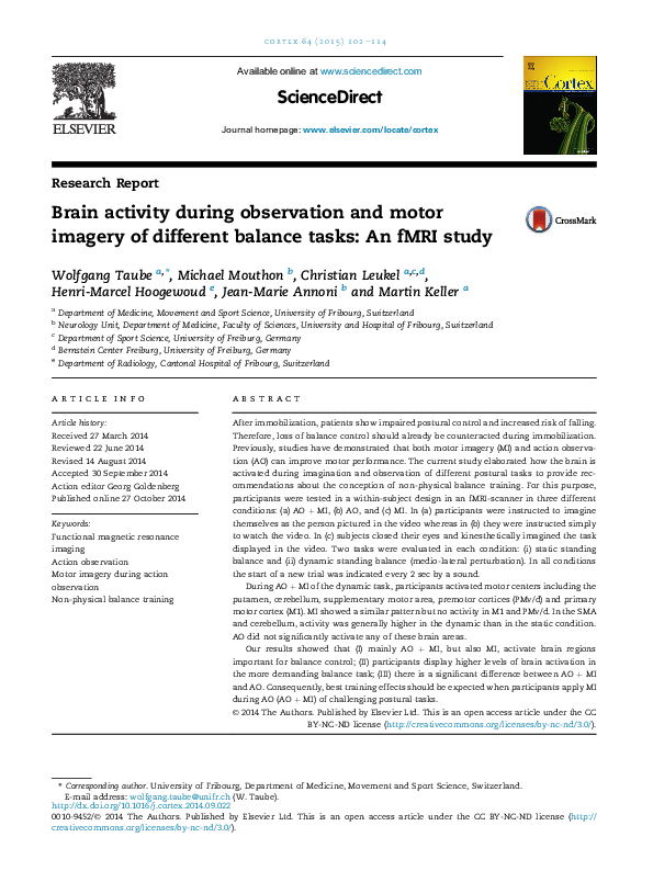 (PDF) Brain activity during observation and motor imagery of different ...